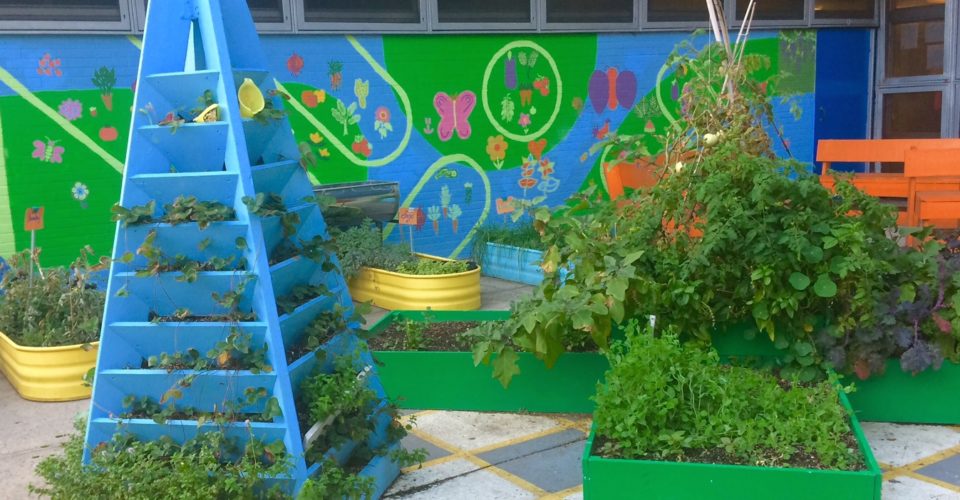 Are School Gardens Here To Stay Nyc Food Policy Centernyc Food