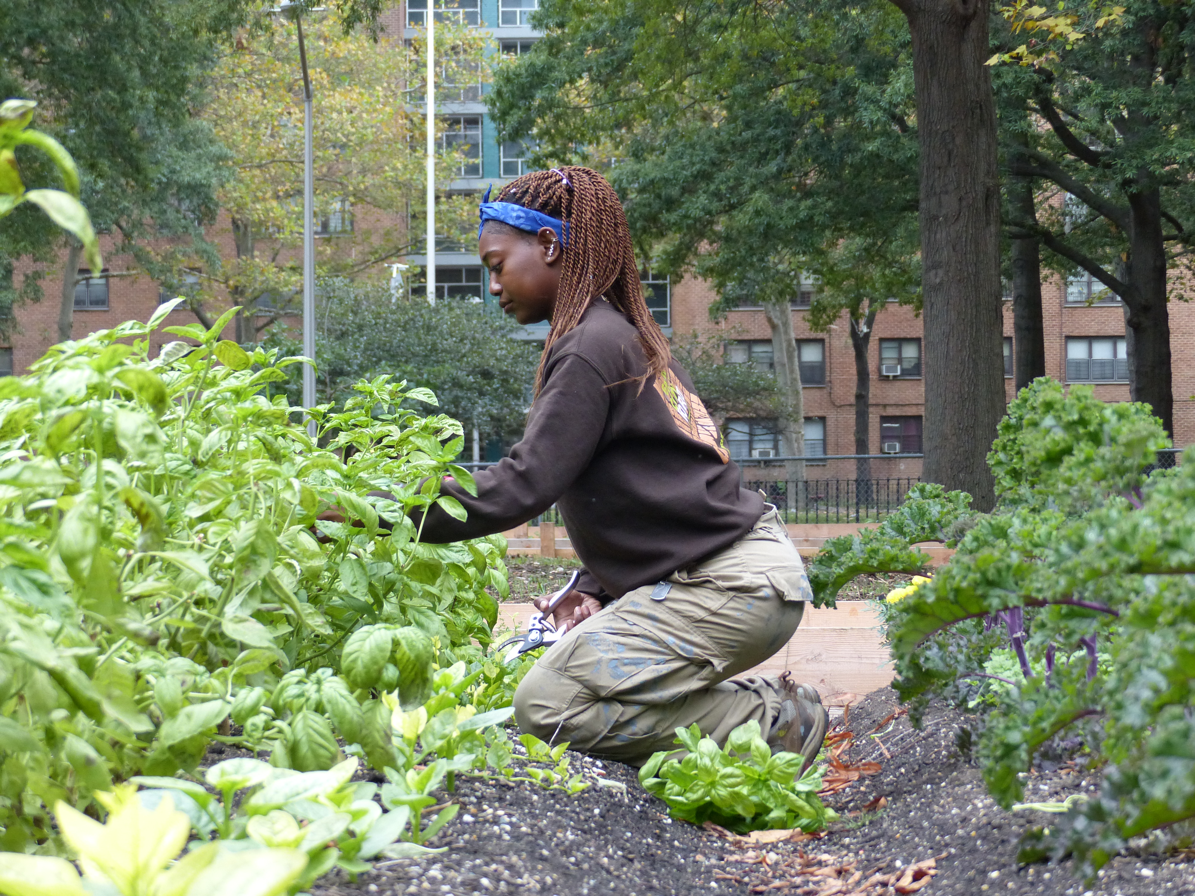 The Brotherhood Sister Sol Community Spotlight - NYC Food Policy Center  (Hunter College)