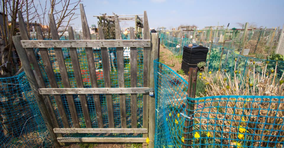 Farm School NYC NYC Food Based Community Organization Spotlight NYC