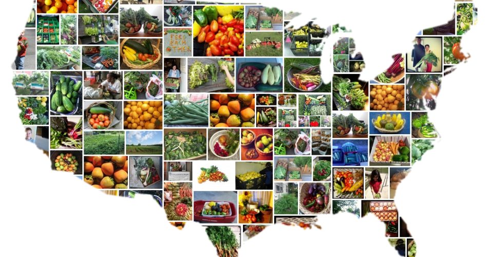 Ampleharvest Org Connects Community Gardeners With Local Food