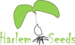 Harlem Seeds