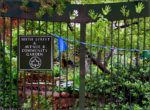 Sixth Street & Avenue B Garden