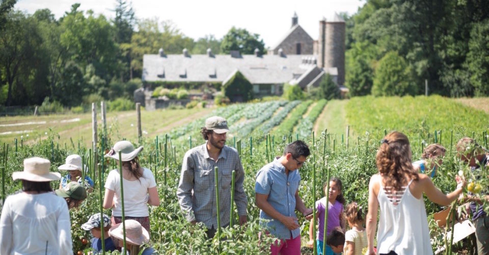 Stone Barns Center For Food And Agriculture Is Transforming The