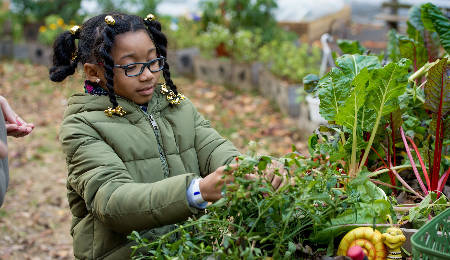 Students' green thumbs help Harlem Grown's garden thrive