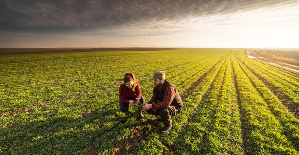 watch farmers insurance open 2019 reddit