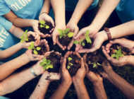 Want to Help Improve NYC’s Food System? Start By Volunteering With These Organizations