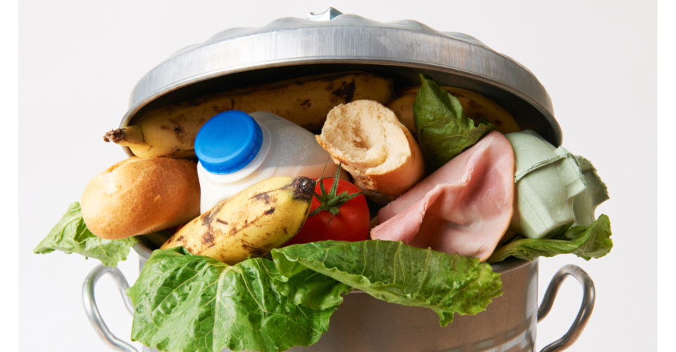 Food And Tech Solutions To Recover And Redistribute Food Wastenyc