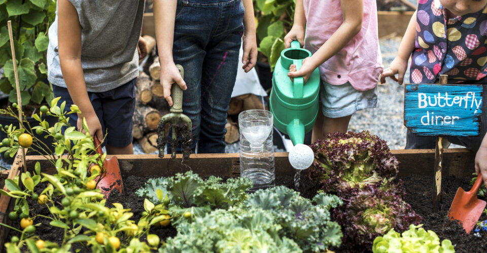 Supporting School Gardens Garden To Cafe Nycnyc Food Policy Center