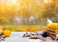 November Events for the Food Policy Enthusiast