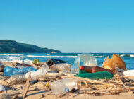 Honolulu Bans Single-Use Plastics Starting January 2021