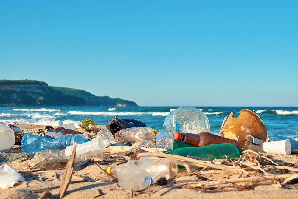 Ban on disposable plastic food utensils and single-use bags starts Thursday  in Honolulu