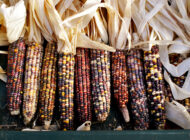 Celebrating Native American Heritage Month: 9 Ways to Learn About Indigenous Food Systems