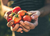 Spain Approves Financial Relief Plan for Hospitality Industry