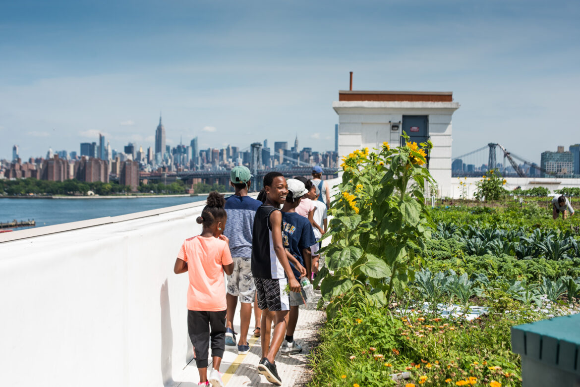 Brooklyn Grange Rooftop Farm