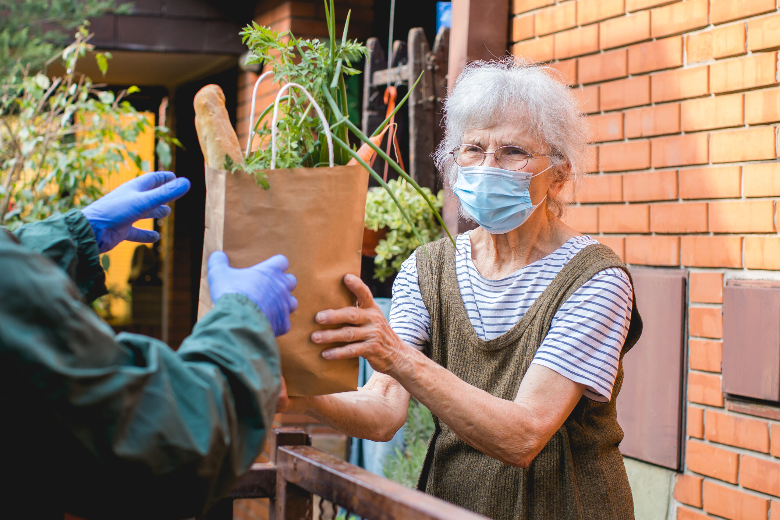 Home Delivered and Emergency Meal Services for Seniors: Testimony