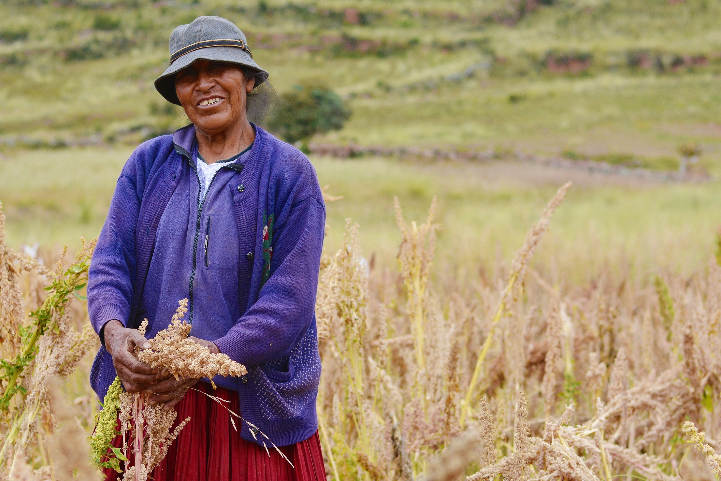 The Role of Seafood in Farm-to-Table