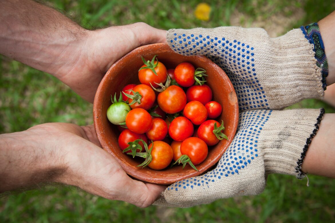 Photo by Elena Casap for Unsplash