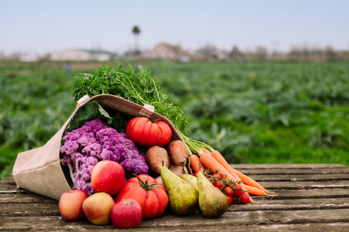 Burlap,Bag,Filled,With,Vegetables,And,Fruits,In,A,Crop