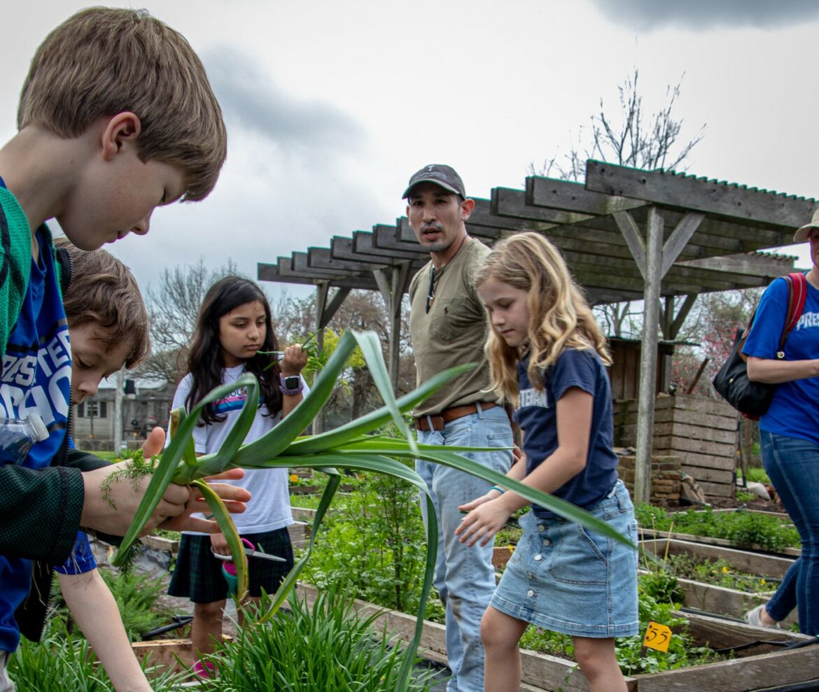 Blackwood Educational Land Institute