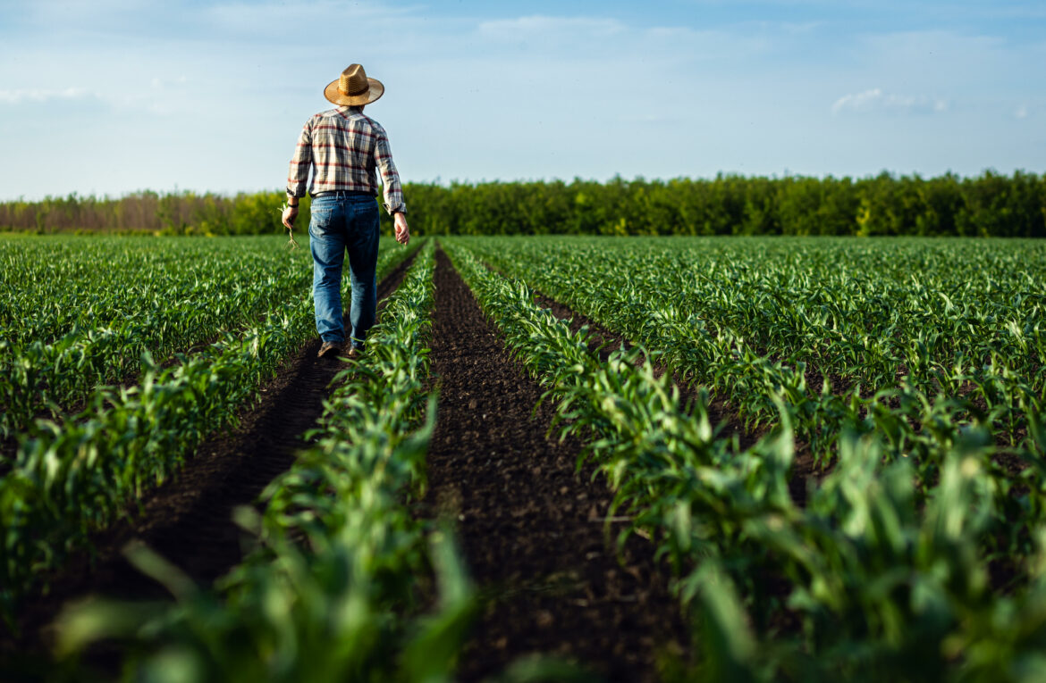 farm bill 2018